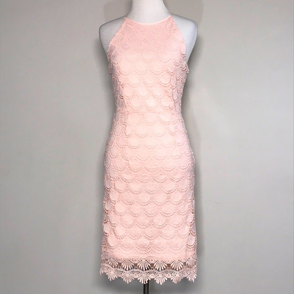 Aqua Women’s Pink Lace Sheath Halter Midi Dress Size Small